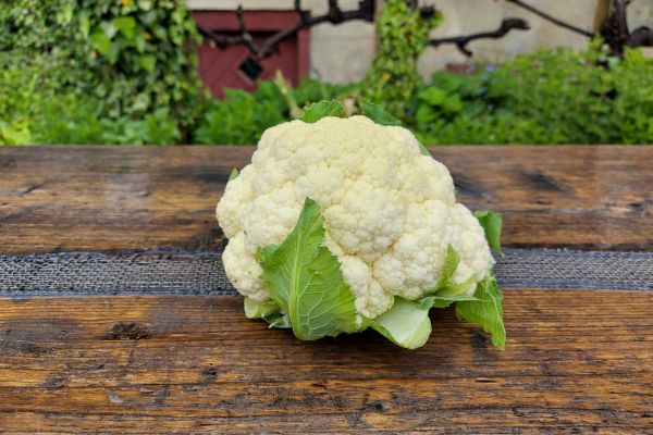 Blumenkohl