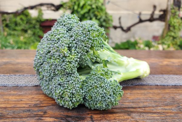 Broccoli