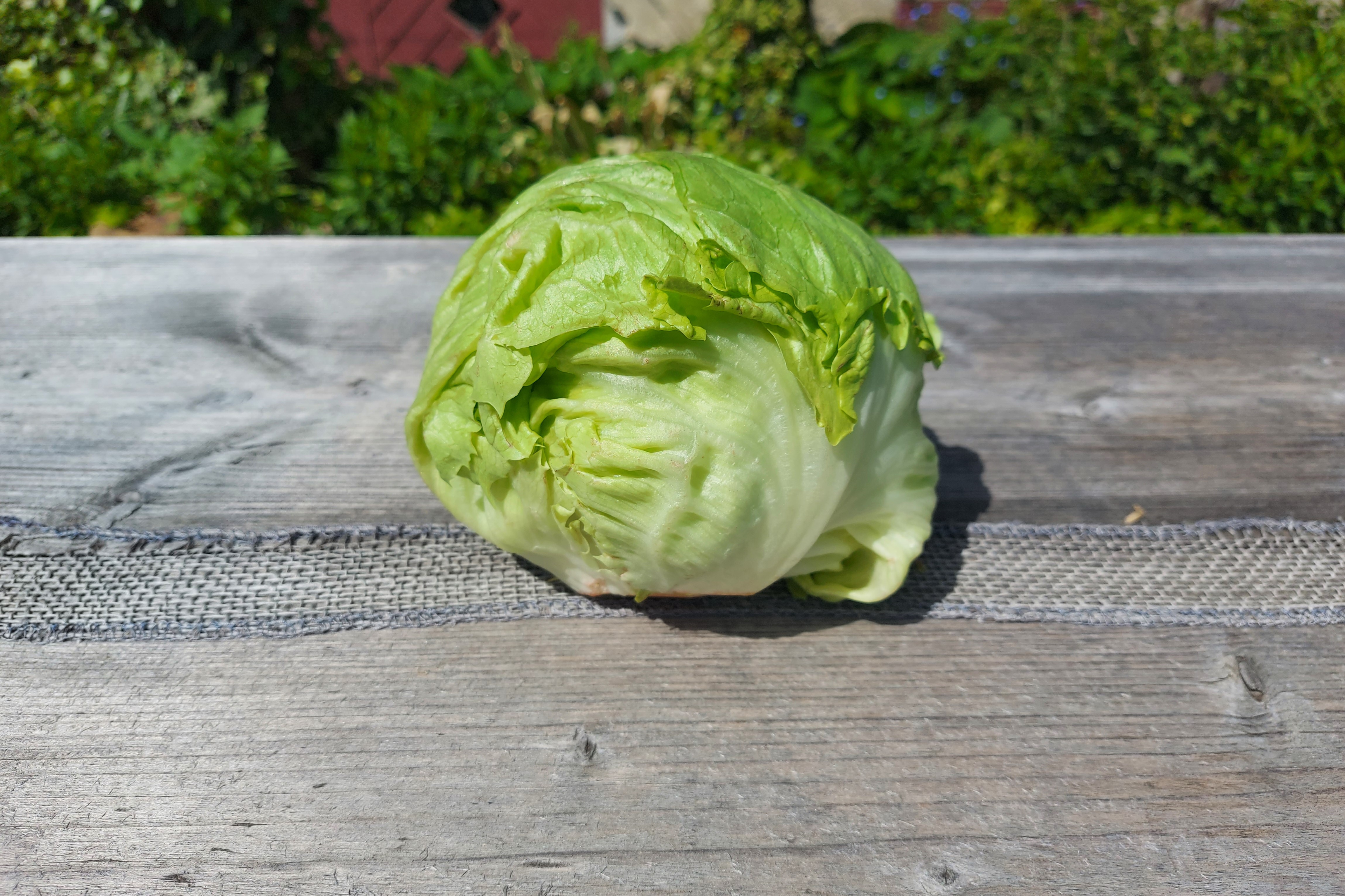 Eisberg