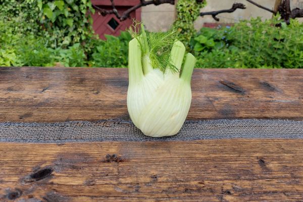 Fenchel
