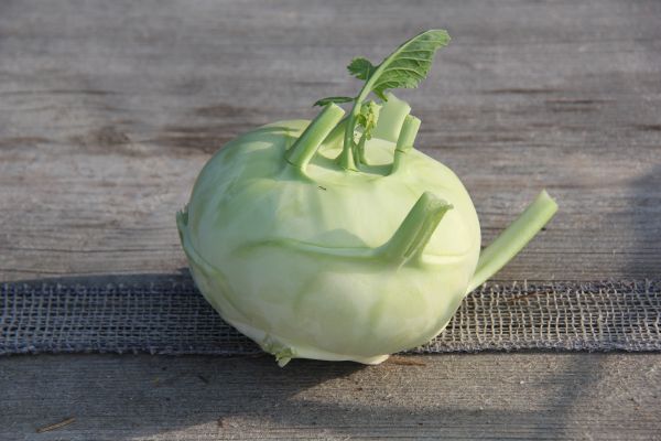 Kohlrabi