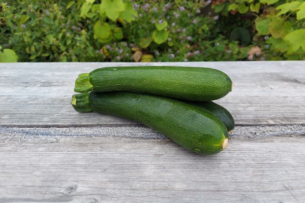 Zucchetti