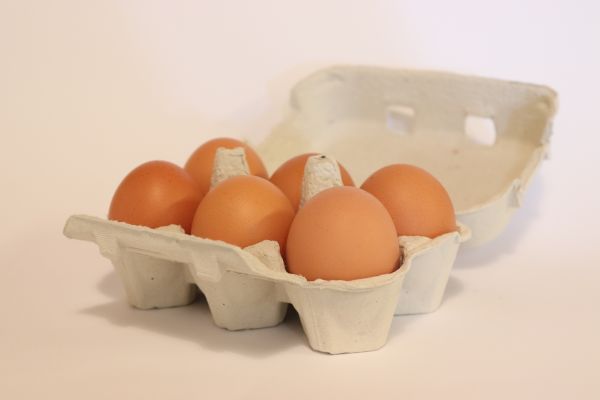 Eier